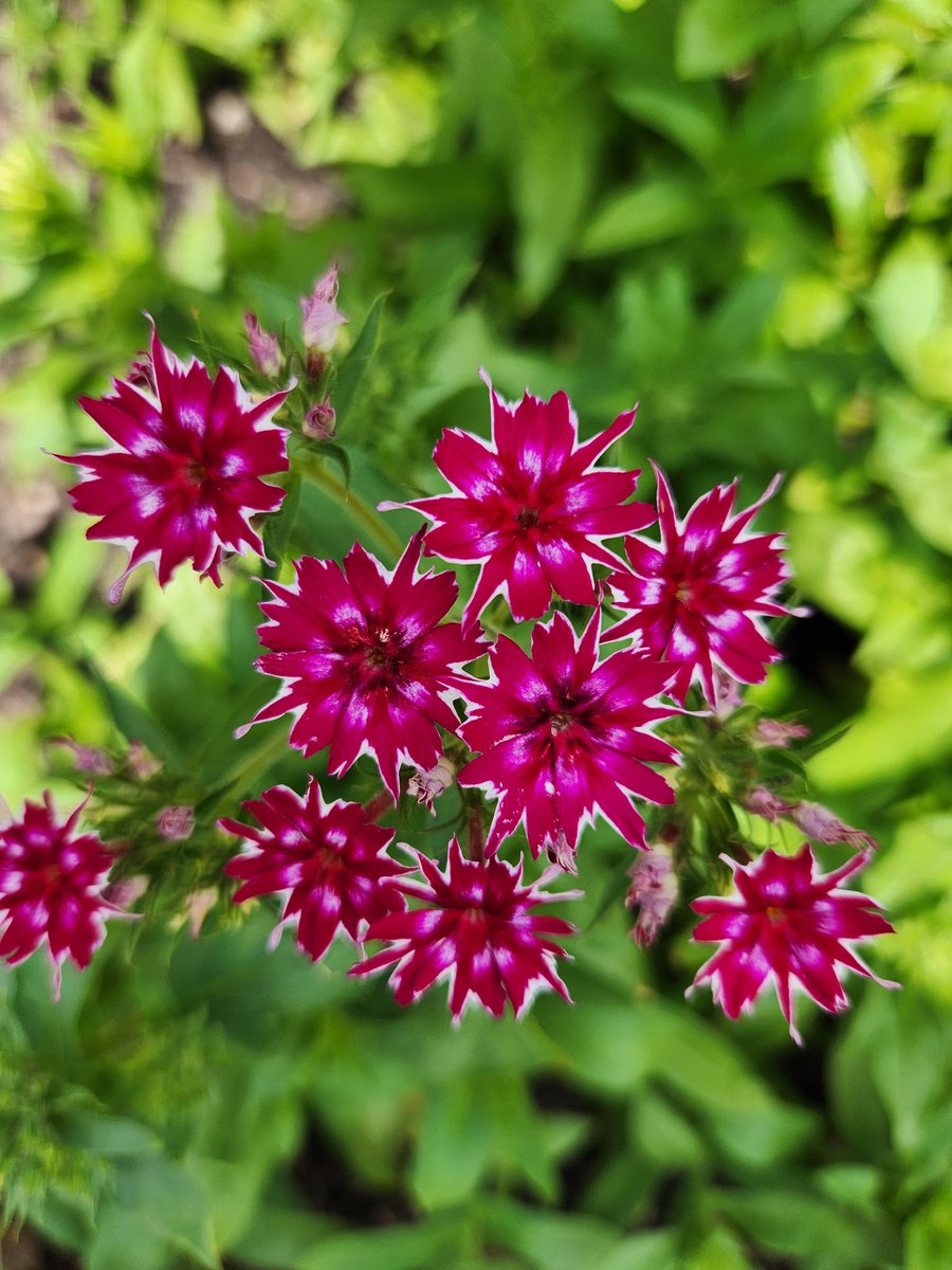 Ⓜ️rs.©️andela tweet media