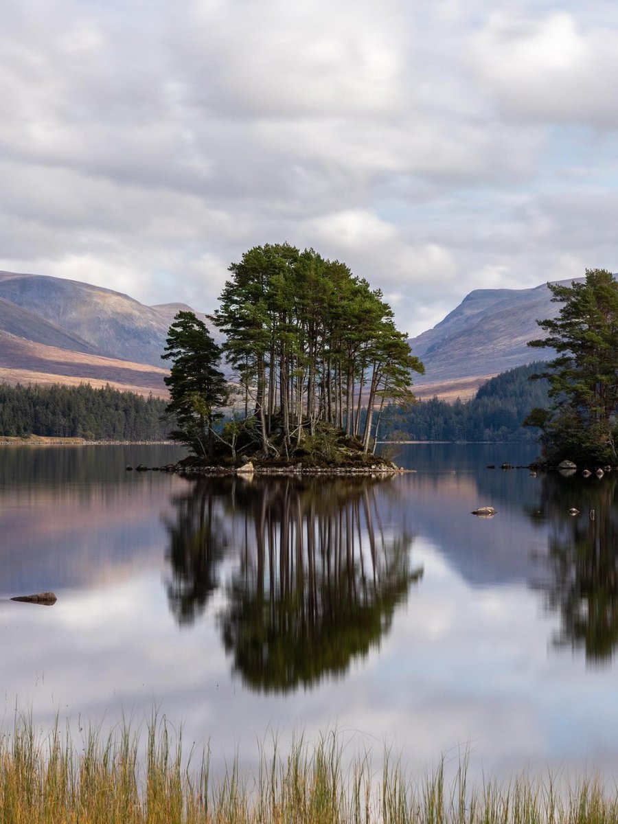 Ye cannae beat the peace & tranquillity of the #Scottish wilderness! 🤗🍃

📍 Loch Ossian, Rannoch Moor, #Highlands 📷 IG/francagielen @SpiritHighlands