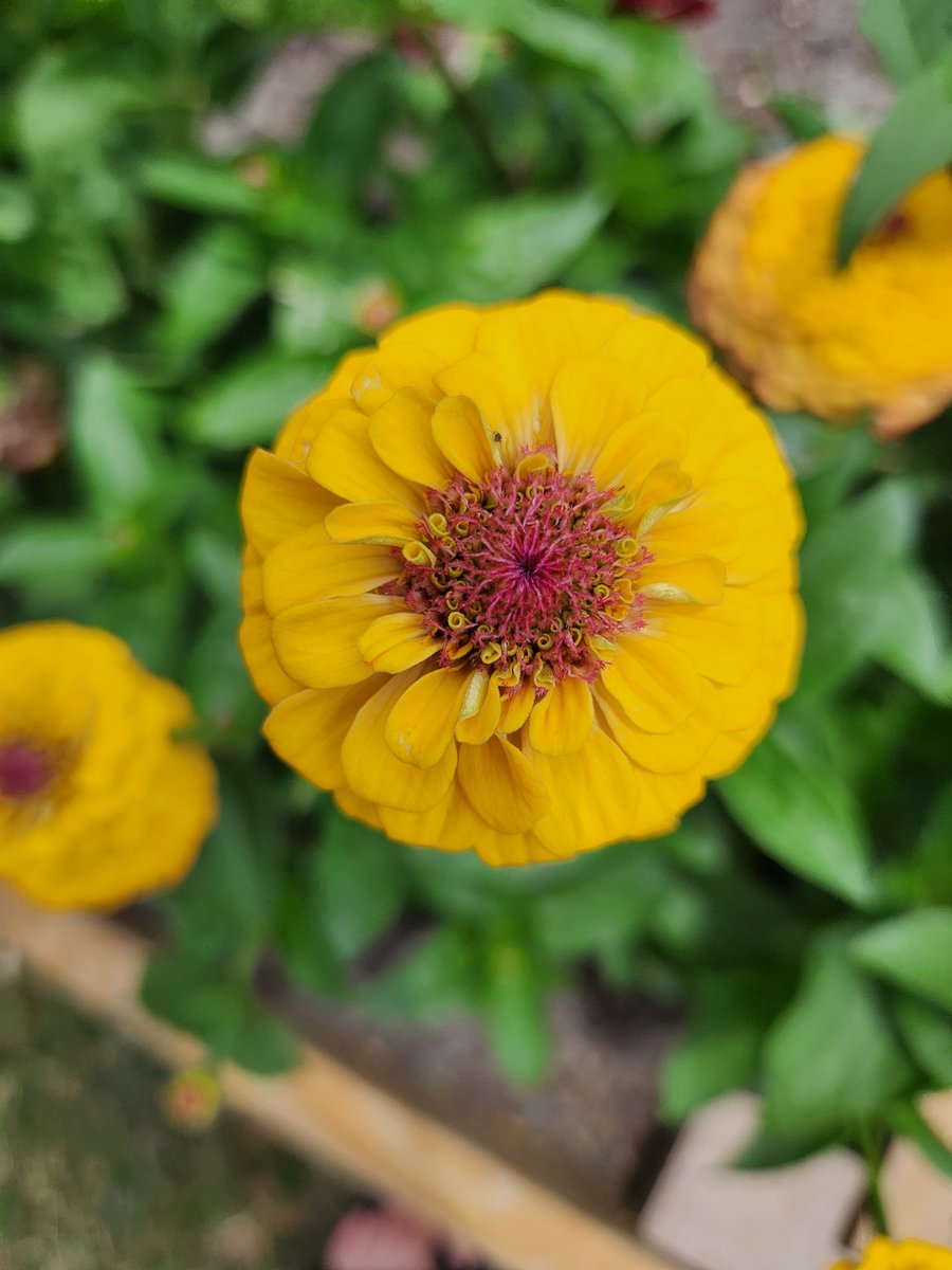 Ⓜ️rs.©️andela tweet media