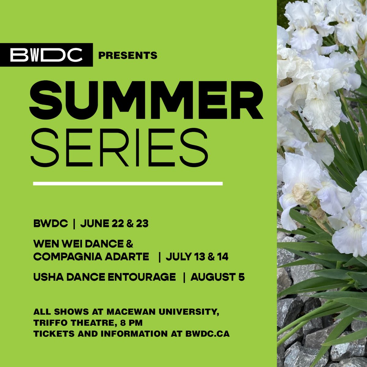 Brian Webb Dance Co. tweet media