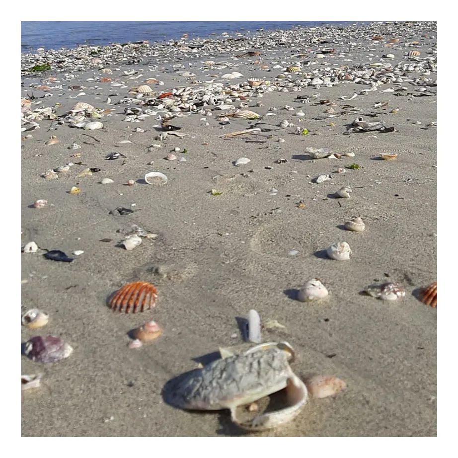 Konbanwa!!
#curiosidad137
El fenómeno del "karoshi" es un problema mundial...
Los japoneses tienen una palabra para nombrar un fenómeno que distingue a la cultura laboral japonesa: Karoshi.
Literalmente, esta palabra significa “muerte por exceso de trabajo”. Y es que, desde …