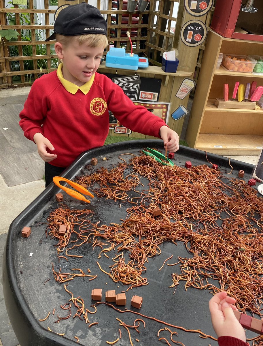 stdavidsrc2017's tweet photo. A mini-beast themed #NationalNumeracyDay for Dosbarth R/1 - measuring worms and creating doubling butterflies 🪱🦋 but what is more amazing is we applied these skills INDEPENDENTLY!! 🌟 #sdpsyR1 #topicmaths #healthyandconfident #ambitiousandcapable https://t.co/rpPdde10DS
