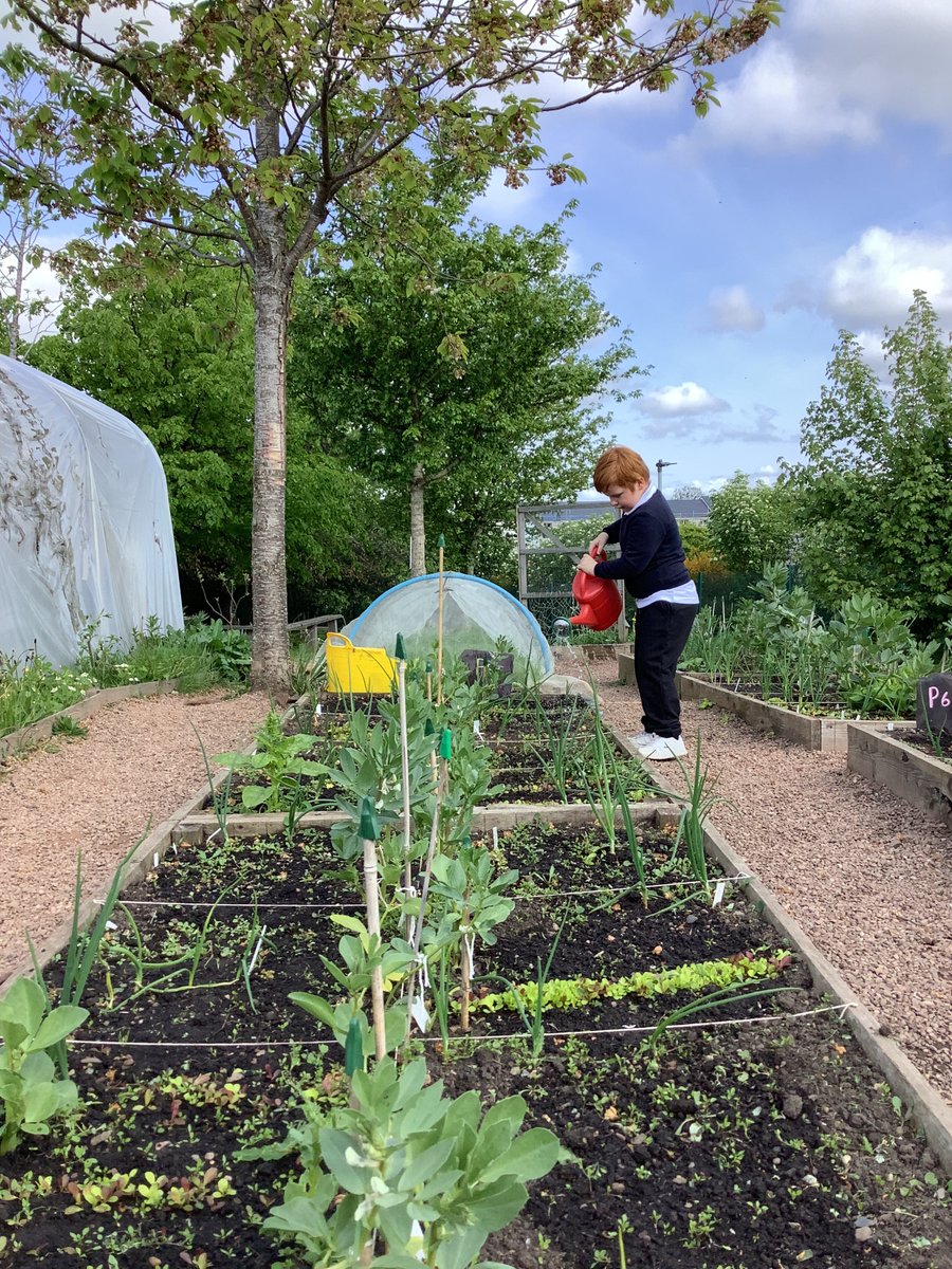 P2atCanalView's tweet photo. What a week so far! Tough Mudder one day, and preparing and eating our very own smoothies the next🍌🍍🥝! We also loved visiting the school farm, where we got to help water the plants. Ask us what has been our favourite 🌱🌾! #CVHealthWeek23 #OnlyAtCanalView https://t.co/AH9vJuObiM