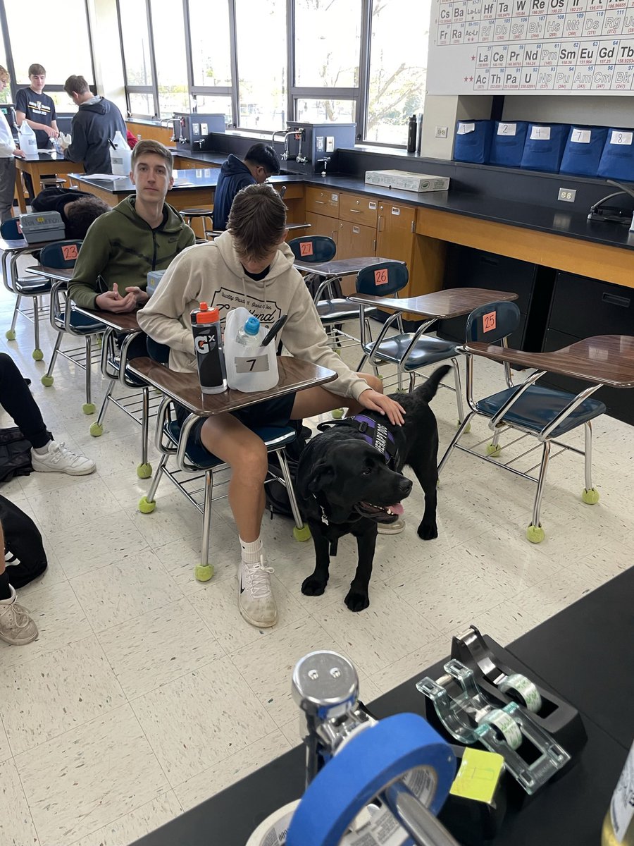 These Mustang pups are enjoying a well deserved break!  Bring lots of love to the Mustangs in these final weeks of school.  He is going to hate summer away from his new crew.  Each picture I get from school makes my heart full!  #peakmoment #theapydogsrock