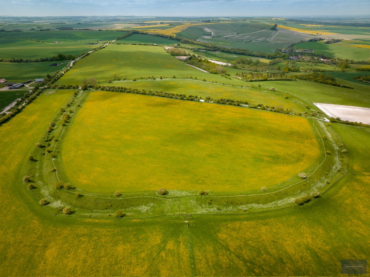 It is #hillfortswednesday and so here is the Iron Age Segsbury Camp from 400ft up, resplendent in yellow yesterday. In the background is Devil's Punchbowl and to the left is The Ridgeway. (HedleyThorne.com - prints and wood framed pictures available)