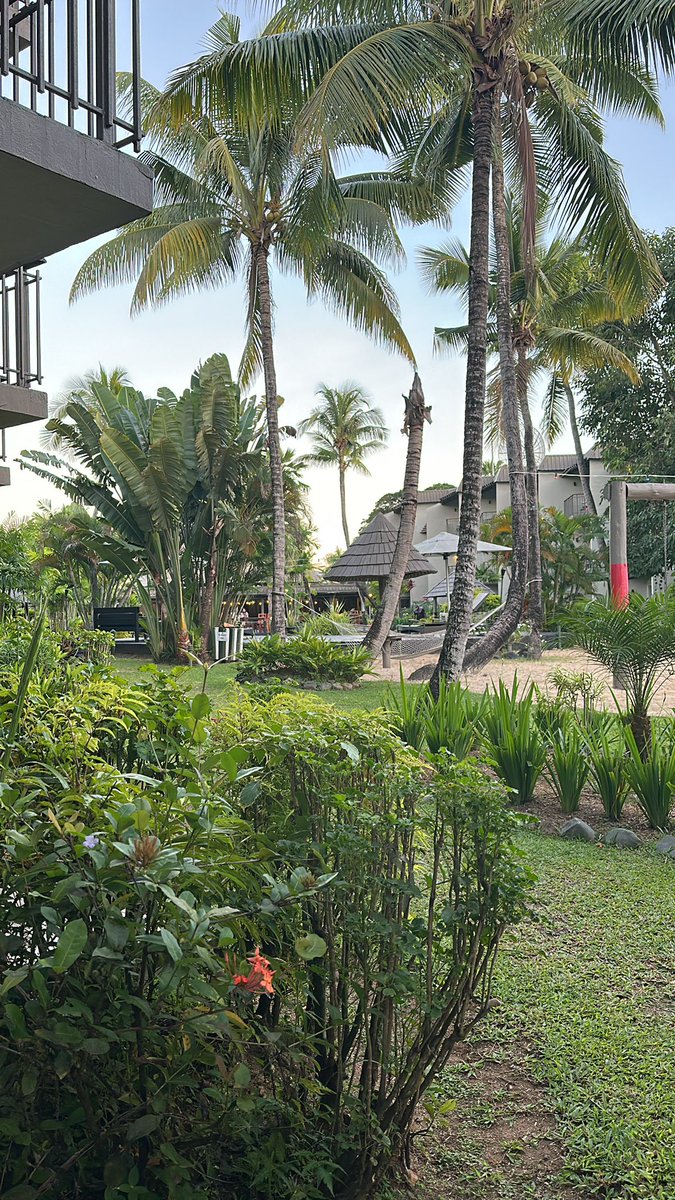 Ni sa bula from Fiji 🇫🇯 #qtimefitness