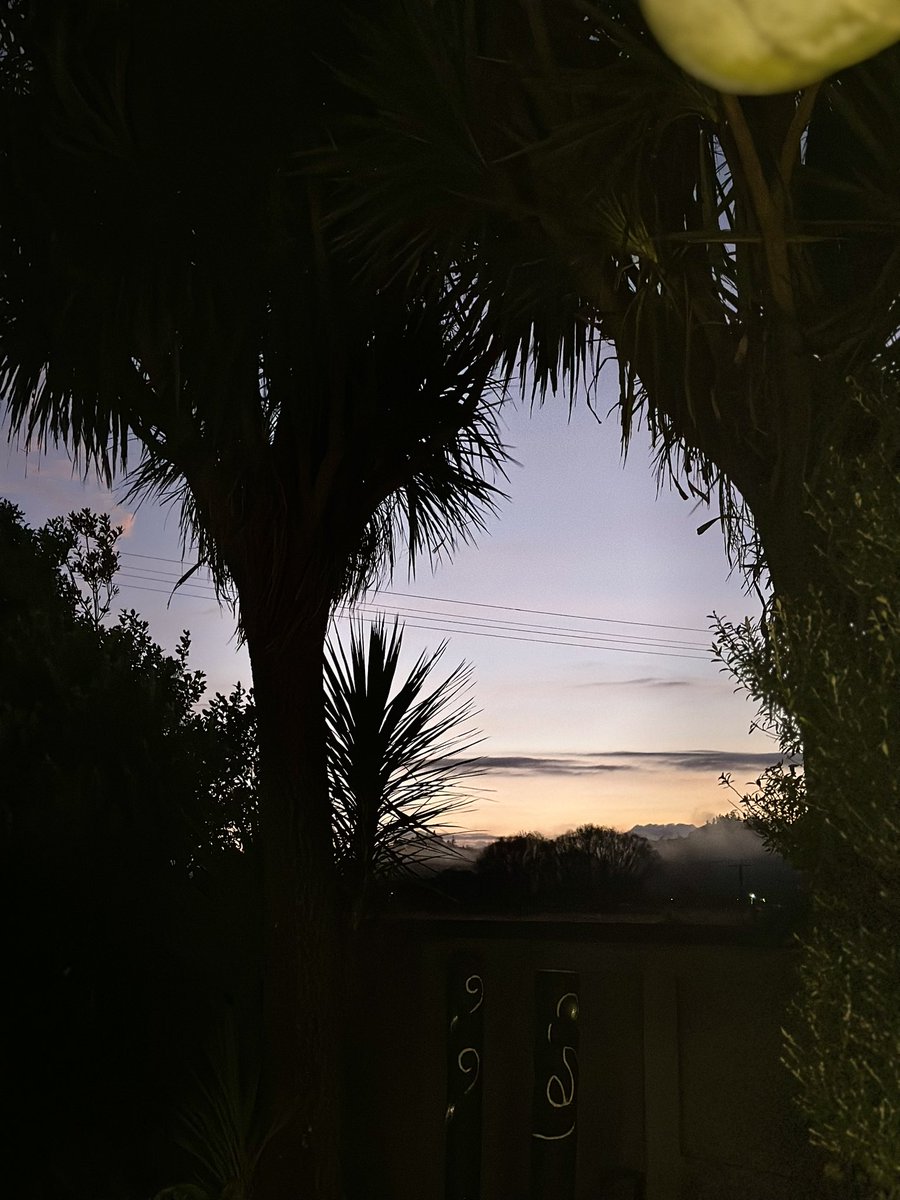 Dr. Taima Moeke-Pickering She/Her 🐶🌈 tweet media