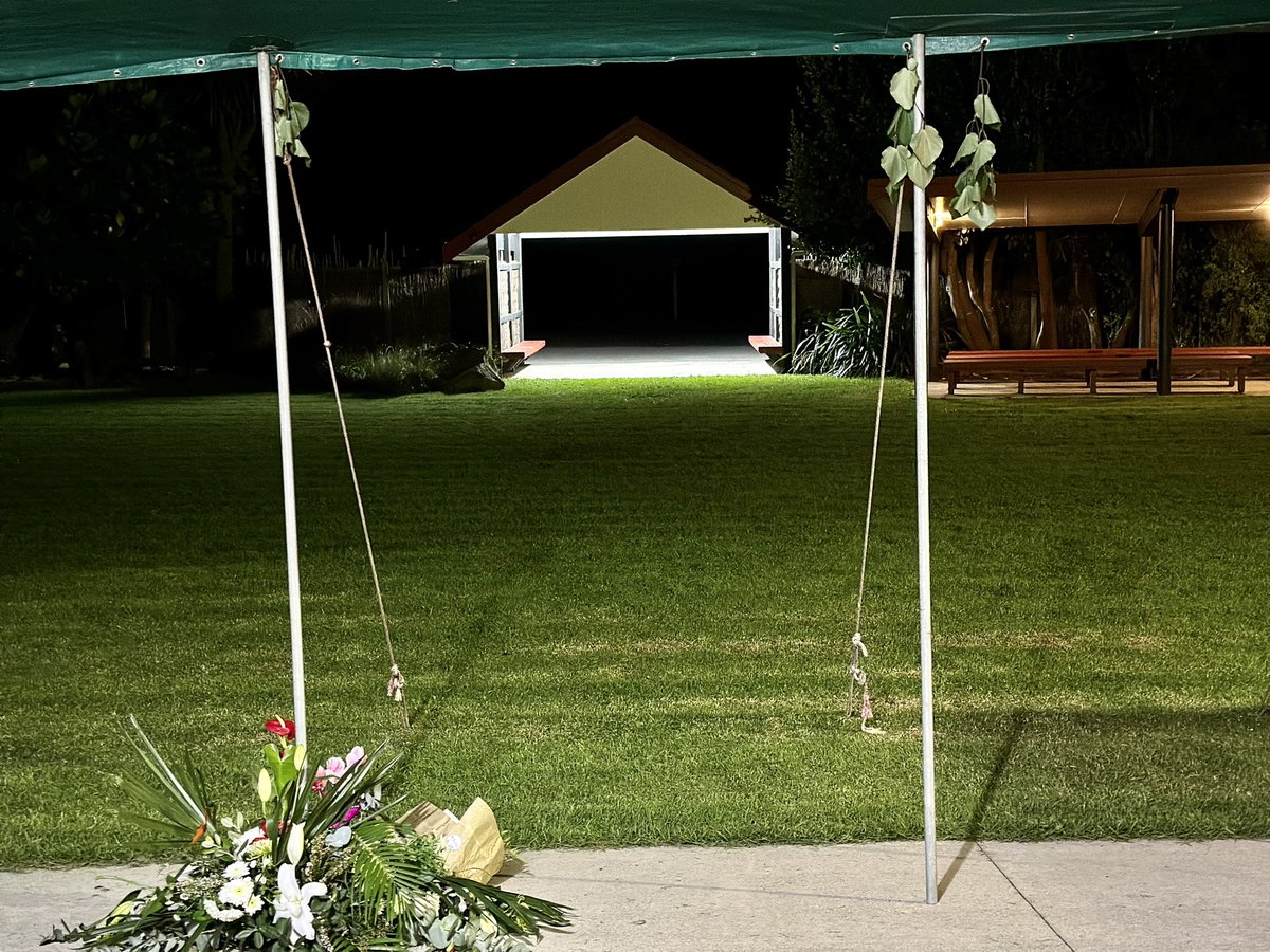 Dr. Taima Moeke-Pickering She/Her 🐶🌈 tweet media