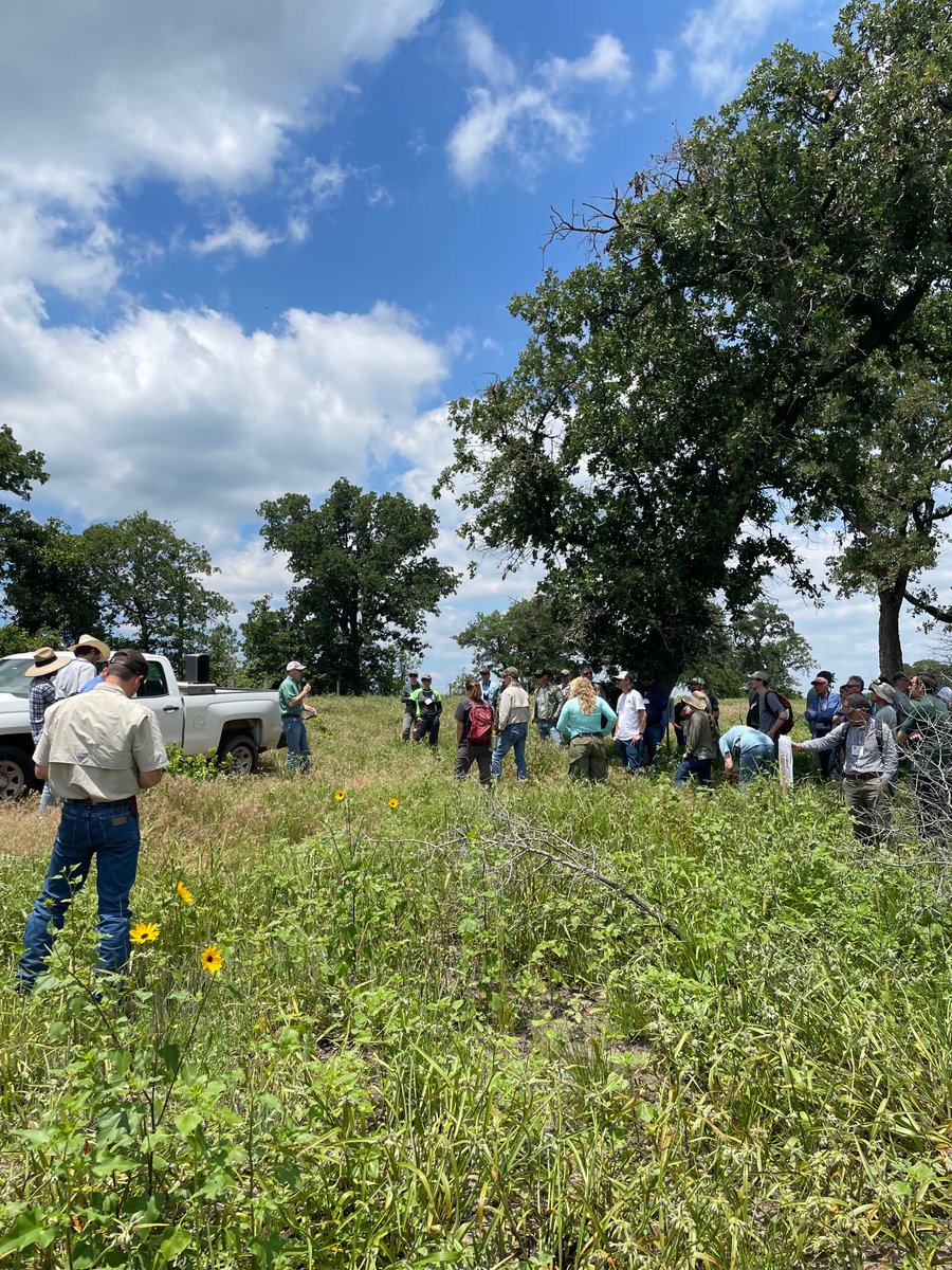 #2023FiEOF attendees learning about thicketization due to fire exclusion and Grazing + #RxFire for restoration at Gus Engeling WMA. #beautifulday