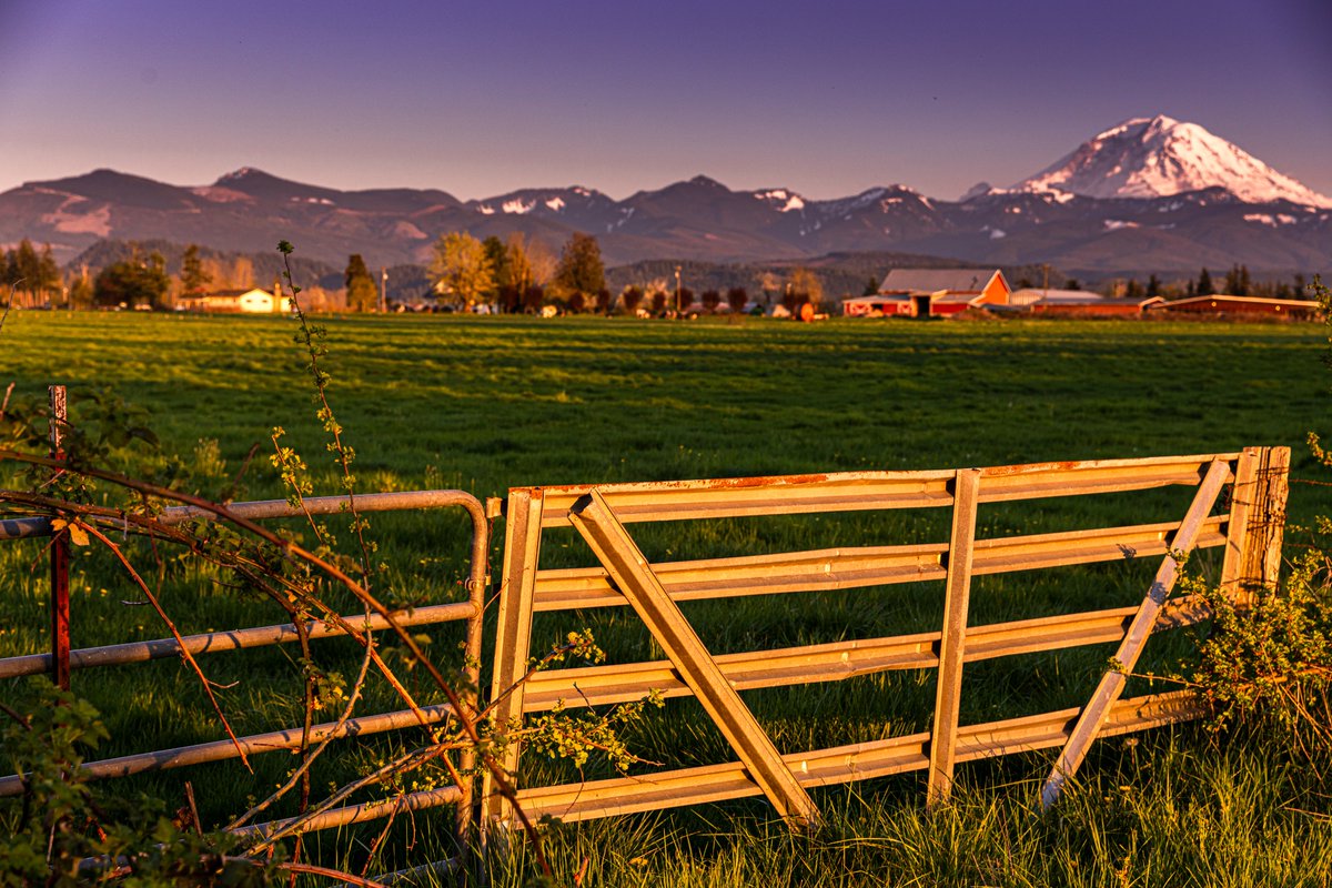 UW Family Medicine (@uwfm) on Twitter photo New <a href="/uwchws/">UW CHWS</a> ā Rural public health staff have important abilities, but workforce training is needed, as is stress & burnout management. Read comparison of rural vs urban local #PublicHealth competencies & training needs, COVID-19 impact, & turnover risk: ajph.aphapublications.org/doi/10.2105/AJ⦠New <a href="/uwchws/">UW CHWS</a> ā Rural public health staff have important abilities, but workforce training is needed, as is stress & burnout management. Read comparison of rural vs urban local #PublicHealth competencies & training needs, COVID-19 impact, & turnover risk: ajph.aphapublications.org/doi/10.2105/AJā¦