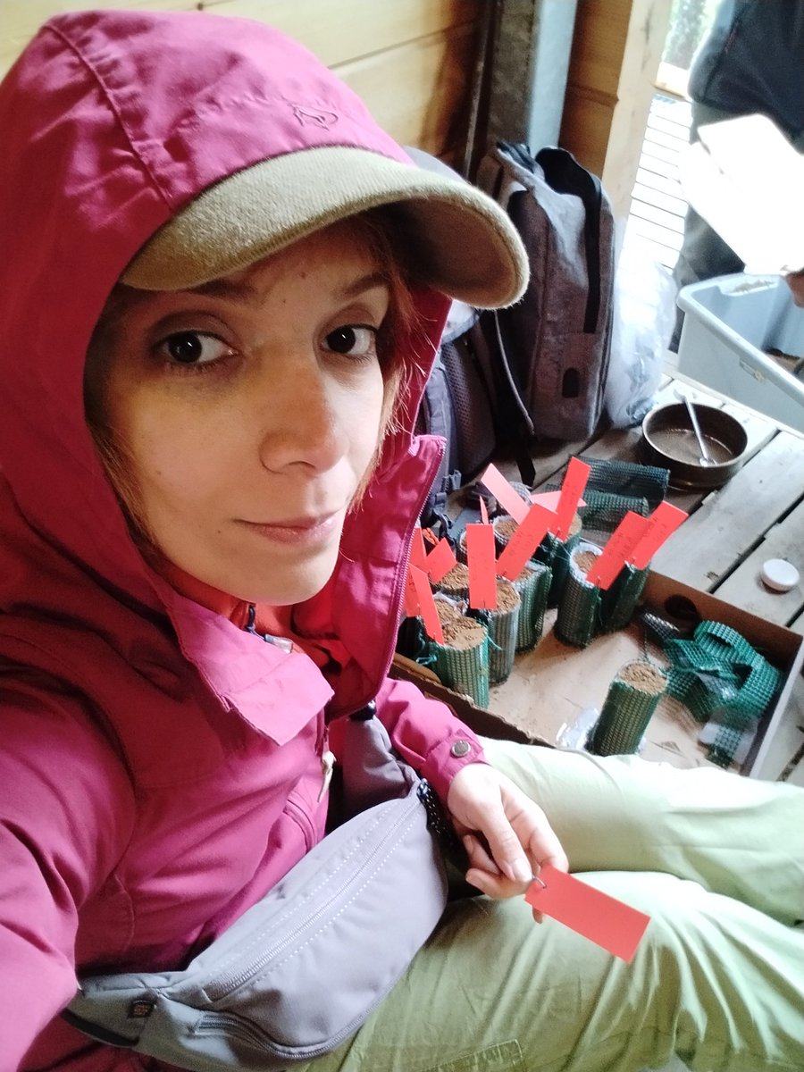 First Alloplant sampling done. 
Thanks <a href="/eLTER_Europe/">eLTER</a> and <a href="/HyytialaHY/">Hyytiälä Forest Station</a> for the opportunity.
.
Stay tuned for our new experiment on the transfer of N and C between ectomycorrhizal fungi and trees in a boreal environment. 
<a href="/GioMatLTER/">Giorgio Matteucci</a>
<a href="/Ettore1604/">Ettore D'Andrea</a>