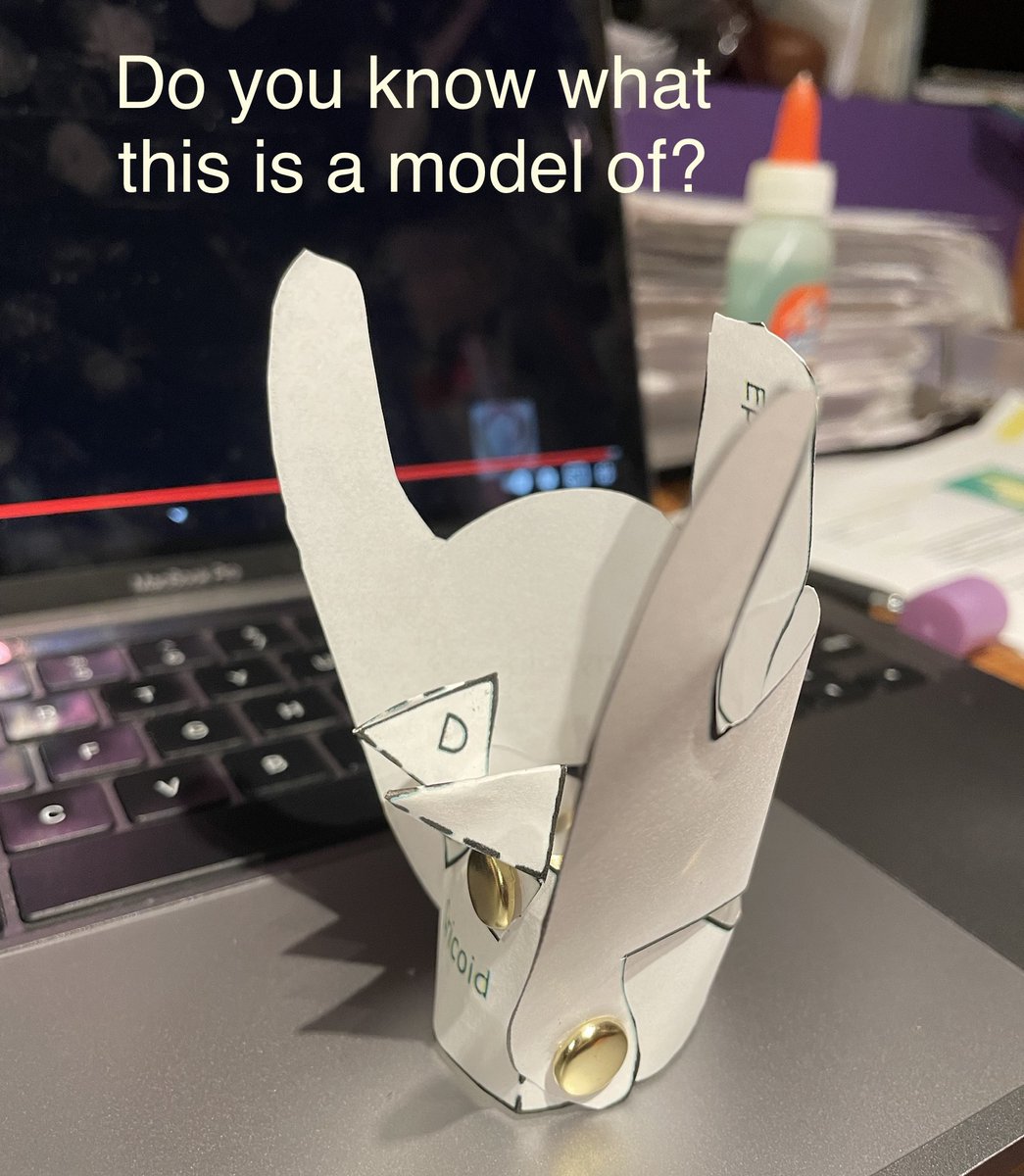 Julieksings's tweet image. TIP: If you don't know what the parts of your voice are, you can still use them... but understanding how it works is a great help! (This is a paper larynx.) #Vocaltrainingforpraisesingers #voicelessonsonline #vocalcoaching #juliekisings #Singinglessons #Vocalworkshops