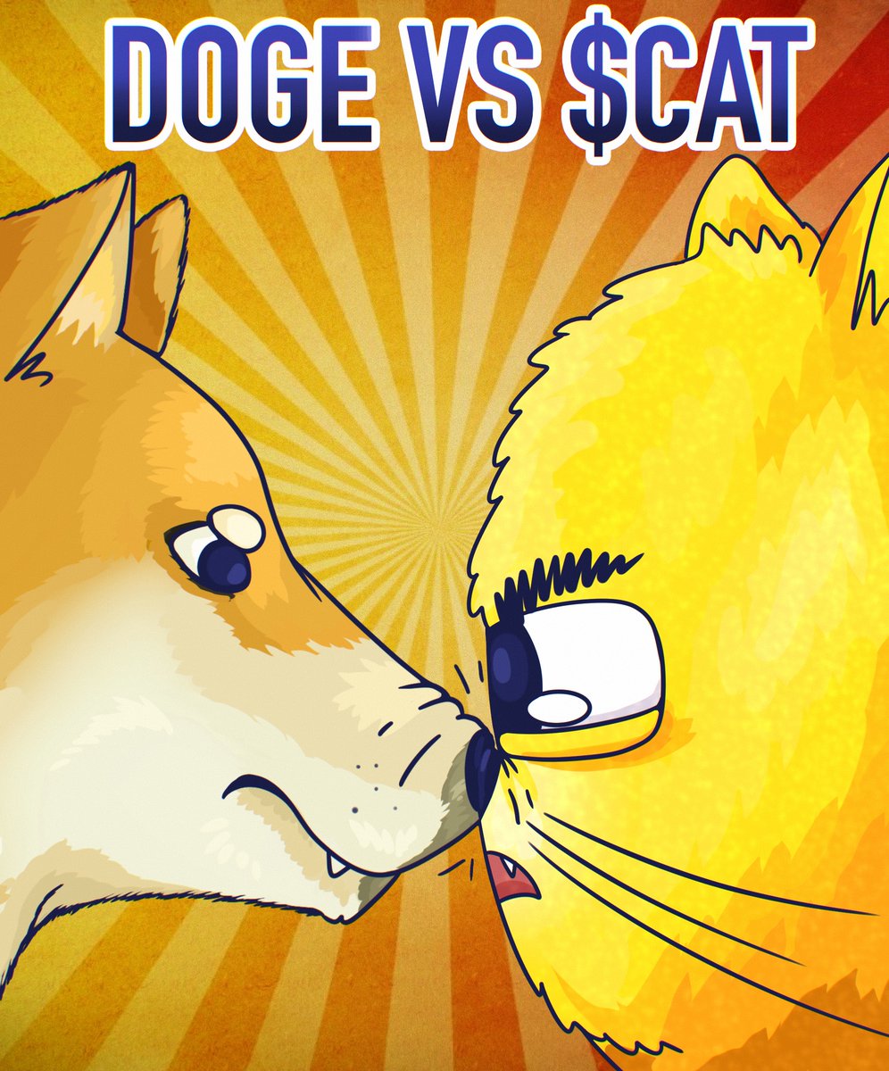 mynameisscat's tweet photo. It’s not DOGE vs SHIB. 

It’s $DOGE vs $CAT now. https://t.co/RavPgqEWfW