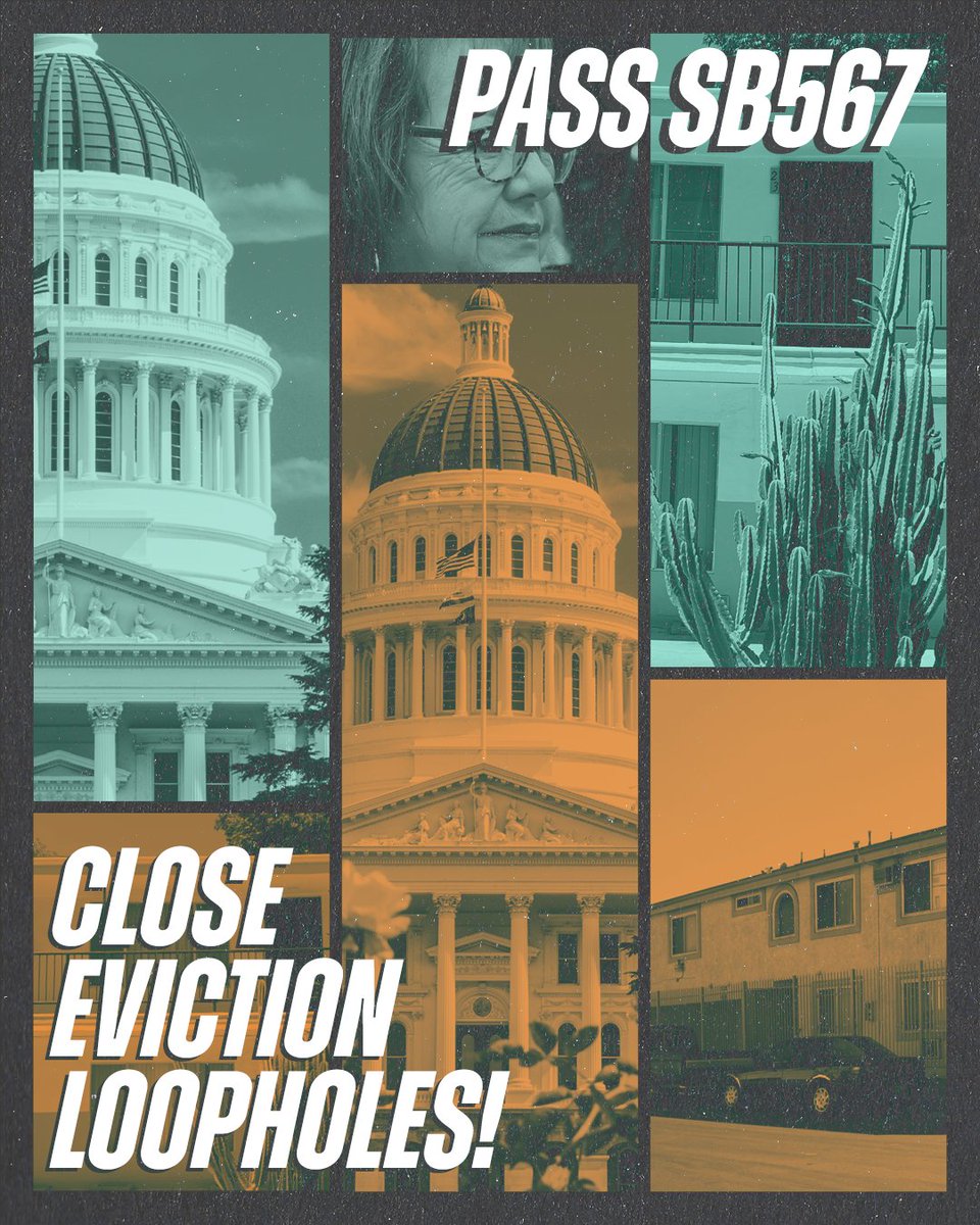 PICO California tweet media