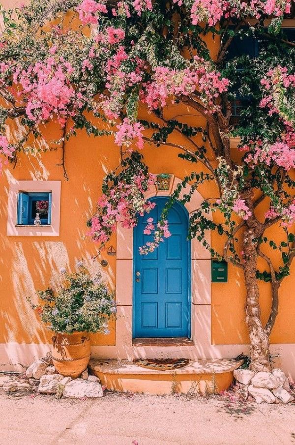 🧡🩵

#europe #doorinspo #aesthetic #inspo #travel #yesplease #flowerlover #mood #bluedoor #orange #blue #colorinspo