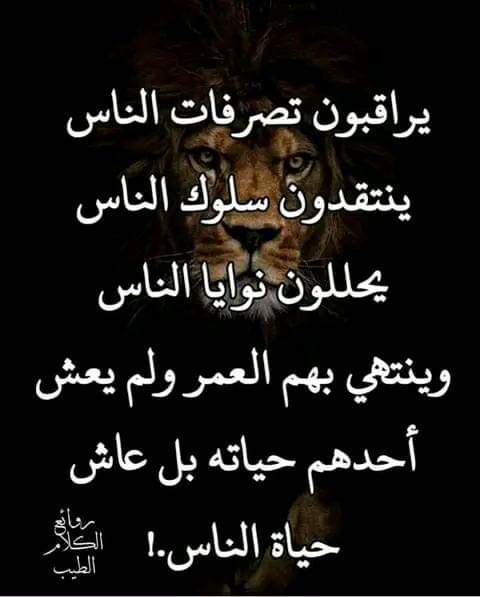 الملكه بلقيس الماربيه (@queenbalqis711) on Twitter photo 