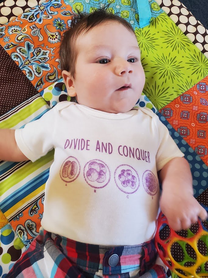 Dr Johanna Hannan tweet media