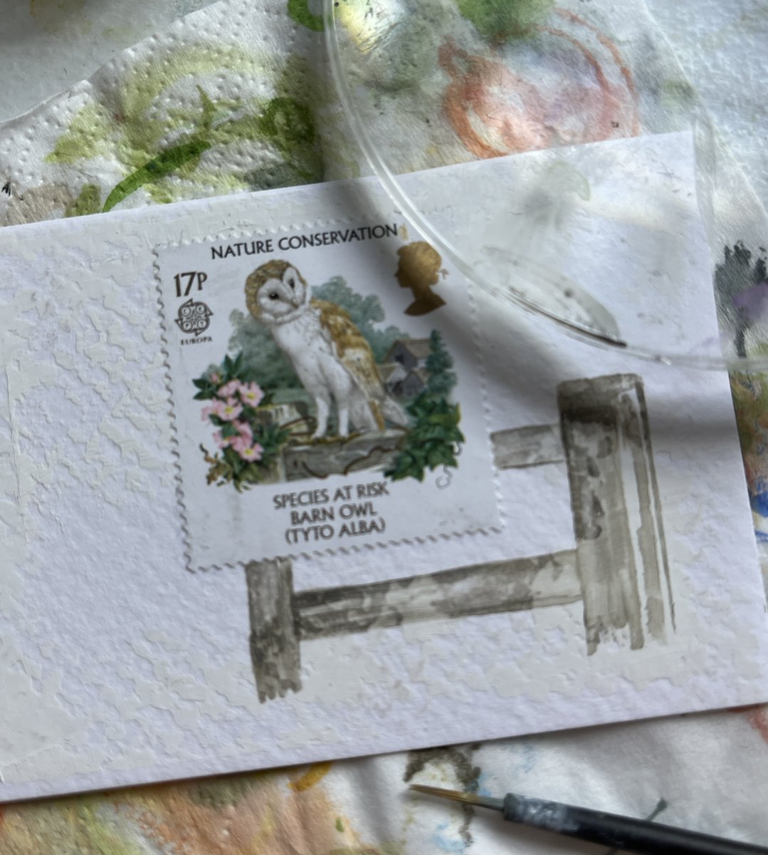 Barn Owl  - postage stamp painting 
Work in progress
DM for details 
#barnowls #barnowl #speciesatrisk #art 
#GBpostagestamps #vintagestamps #philately
