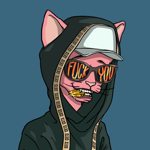 0xKoop's tweet photo. I think it's time to change for a new @CetsNFT PFP for this month. Still can't figure out what CETS I should go for as my forever PFP. I have bunch of them, and they are all just magnificent. Kekwew! 🤌
#cetsfk #fuckeyes #cetshoodiegang https://t.co/RjhdvNdrvx