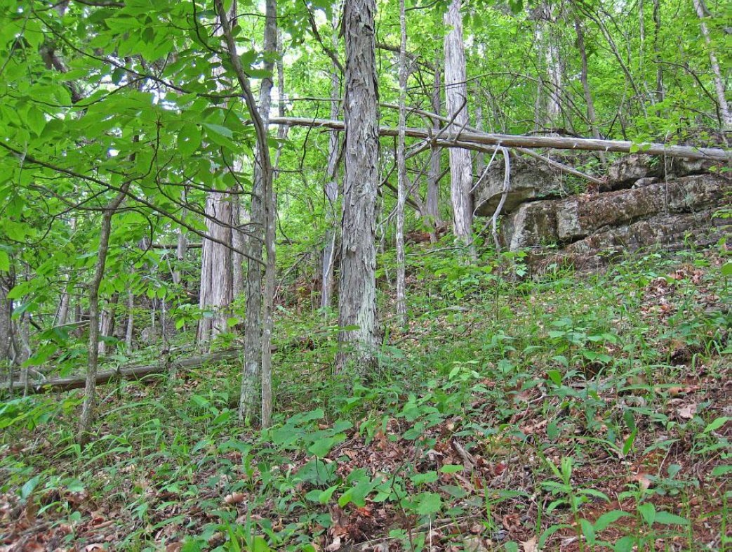 A new $14.1M Virginia Land Conservation Foundation (VLCF) grant round is now open! Nonprofit conservation groups, local &amp; state governments &amp; VA Indian tribes can apply by Aug. 18. 
Pictured are examples of funded projects.
More details at dcr.virginia.gov/land-conservat…. #virginianews