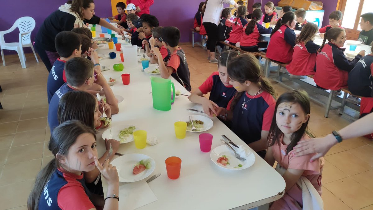 salesiansBDN's tweet photo. 🚌 | Primer dia de colònies a Les Orenetes. Fa un dia esplèndid i una mica de vent... Però estem gaudint d'allò més! 

#ObrimCamins
#SomEscolaParticipativa https://t.co/ySKxXiJqz4