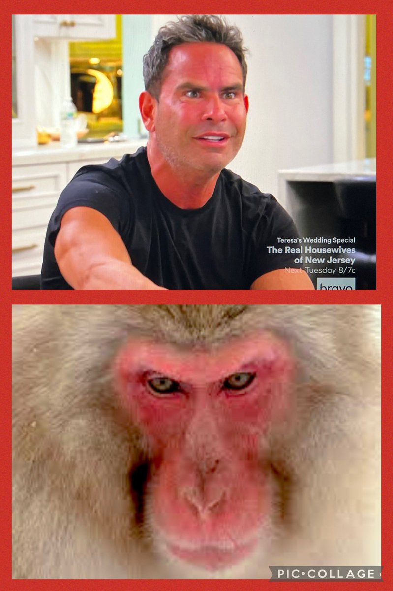 pattifischer3's tweet photo. Didn’t Louie’s mom ever tell him that if he makes a face long enough it’ll stay permanent….?
#RHONJ #bravo #andycohen https://t.co/3xDQl9LhMI