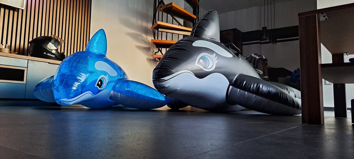 unknowinguser96's tweet photo. Love these two 🤤❤️
#inflatable #SqueakySaturday #pooltoy #pooltoys #intex #whale #inflatablewhale #inflatablelove #inflatablefetish #inflatables #inflatableorca #orca #inflatabledolphin #love https://t.co/dcRYI0czGv