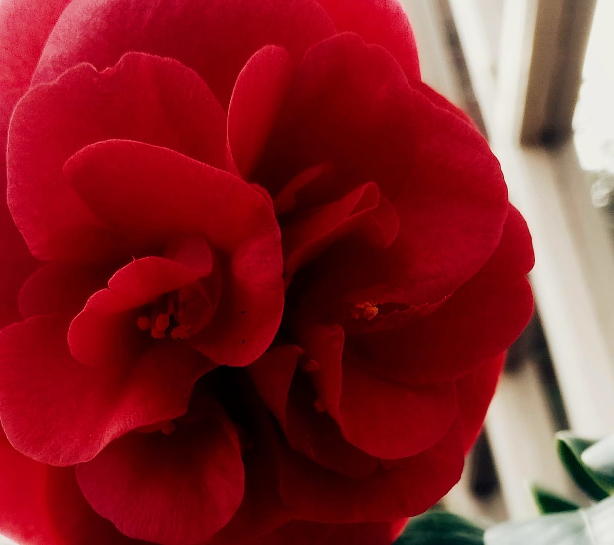 Nieuwsbrief 17 mei 2023 - mailchi.mp/9d4f6ae209be/n…