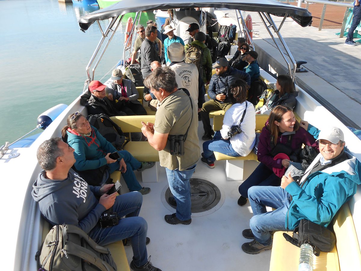 pelagicuscat's tweet photo. Dissabte vam sortir a mar a #LAmpolla. I va ser un èxit. Aquí teniu la crònica https://t.co/qUcpS7cLeS [The chronicle of last Saturday seawatch from L'Ampolla] https://t.co/rqVOmZUg97
