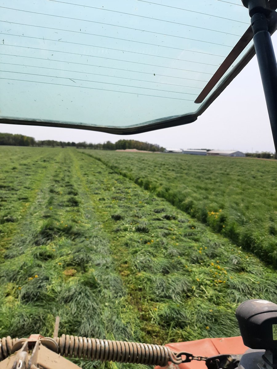 Stan ter Woerds tweet media