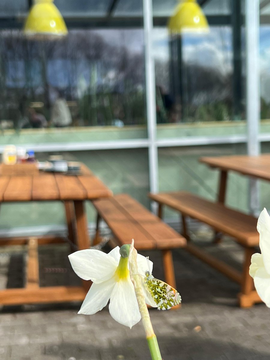 This little guy was checking out our new outdoor seating in Carrick-on-Shannon!

#nature #irishnature #organicrestaurant #realfood #summer #sunshine