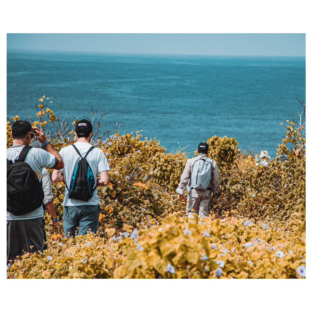 kontikiX's tweet photo. Nature lovers and adventurers find in Isla de la Plata the perfect spot to see amazing wildlife and mesmerizing ocean views. #AboveSeaLevel #SLH https://t.co/SRGs3zpVO4