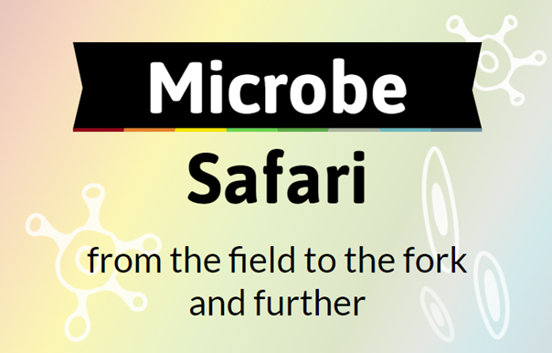 SEFARI researchers have created “Microbe Safari”, an interactive #educational website focusing on the diversity of #microbes that are related to #gut health, #food safety, food production &amp; the #environment. 
➡️sefari.scot/research/micro…
<a href="/elwatson_1/">Eleanor Watson</a>, @NicolaJHolden, <a href="/KevinMclean_MRI/">Kevin Mclean</a>