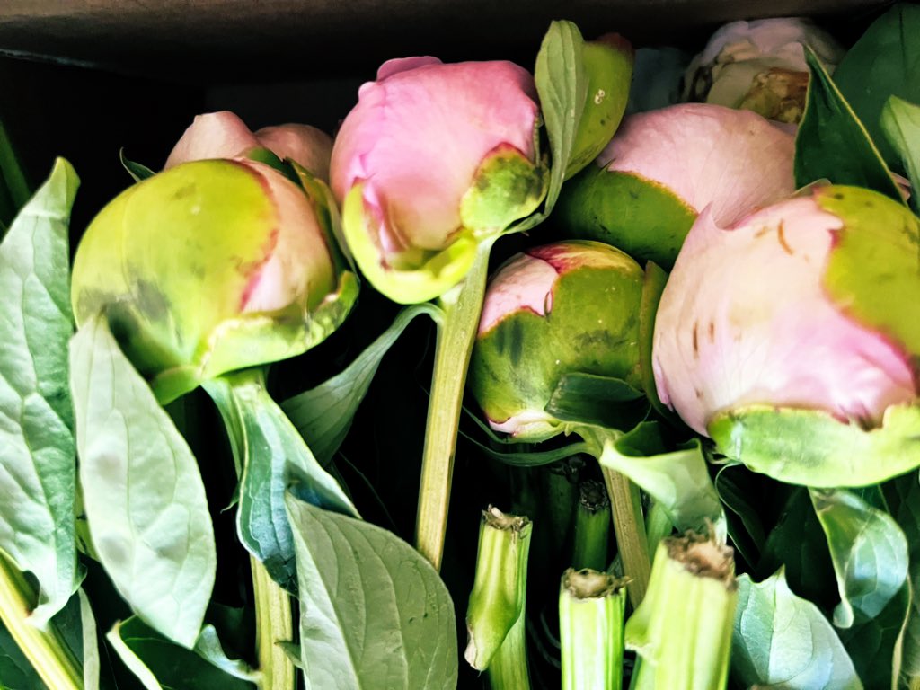 Lori Perlow #SchoolPR tweet media