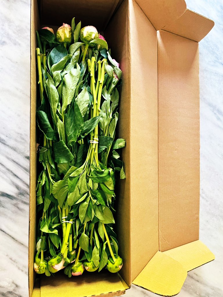 Lori Perlow #SchoolPR tweet media