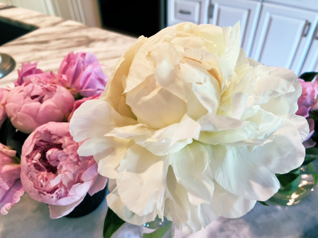 Lori Perlow #SchoolPR tweet media