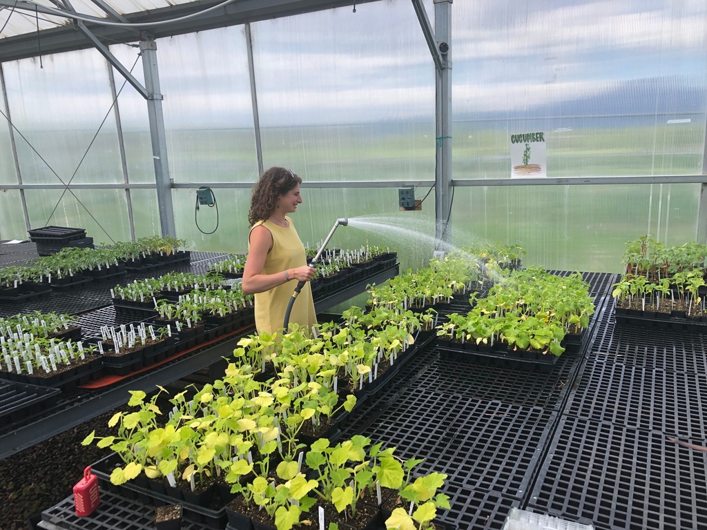 We had a record-breaking opening weekend of the BVSD Plant Sale! We still have lots of wonderful options, including flowers, heirloom tomatoes, peppers, herbs, and cucumbers. Come see us on Friday to get your summer garden going! See details below.

food.bvsd.org/plant-sale