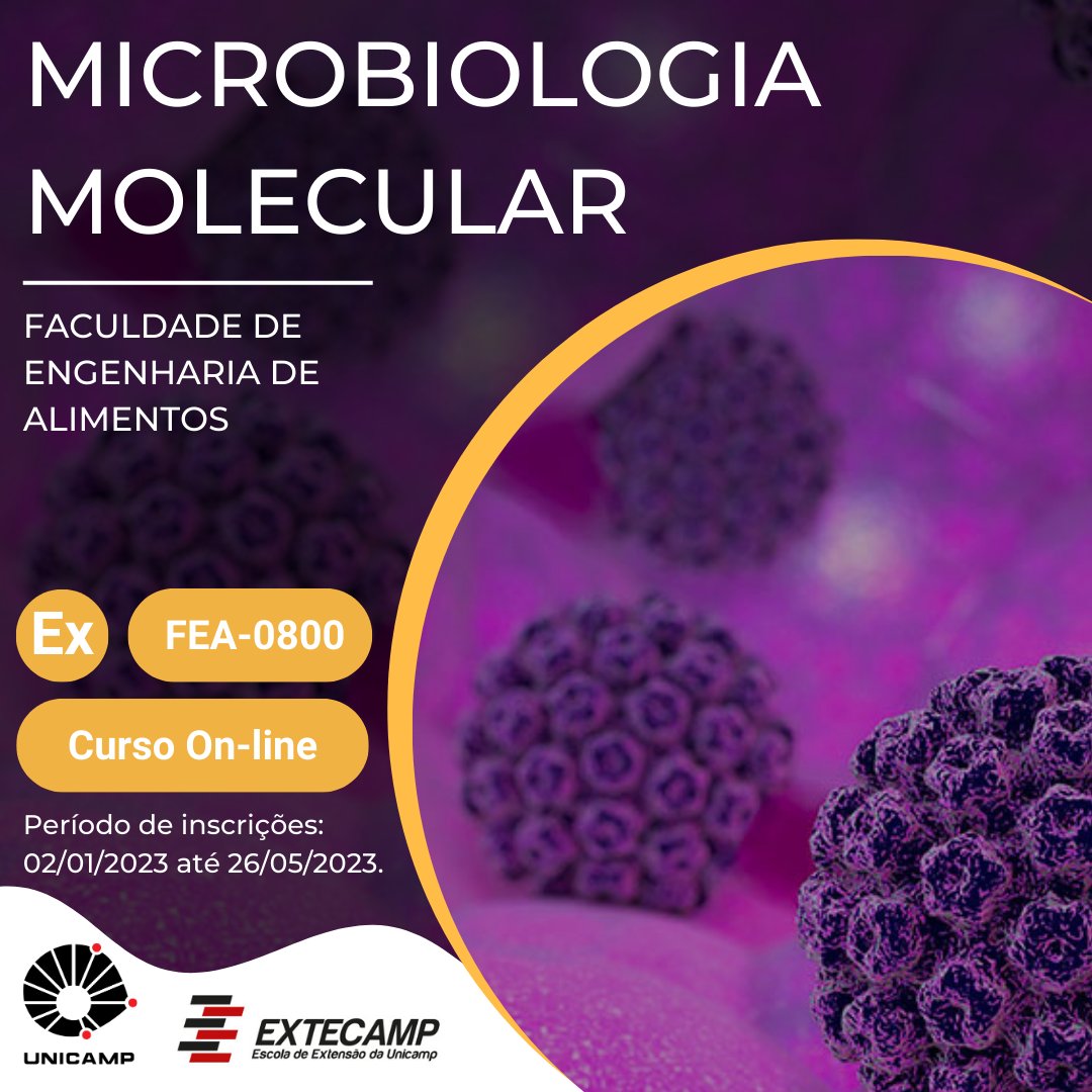 extecamp's tweet photo. MICROBIOLOGIA MOLECULAR 
https://t.co/Sku7RxaGrc

#Unicamp #Extecamp #Extensão #Curso #CursoOnline #Engenharia #alimentos https://t.co/MGD3mZP3yF