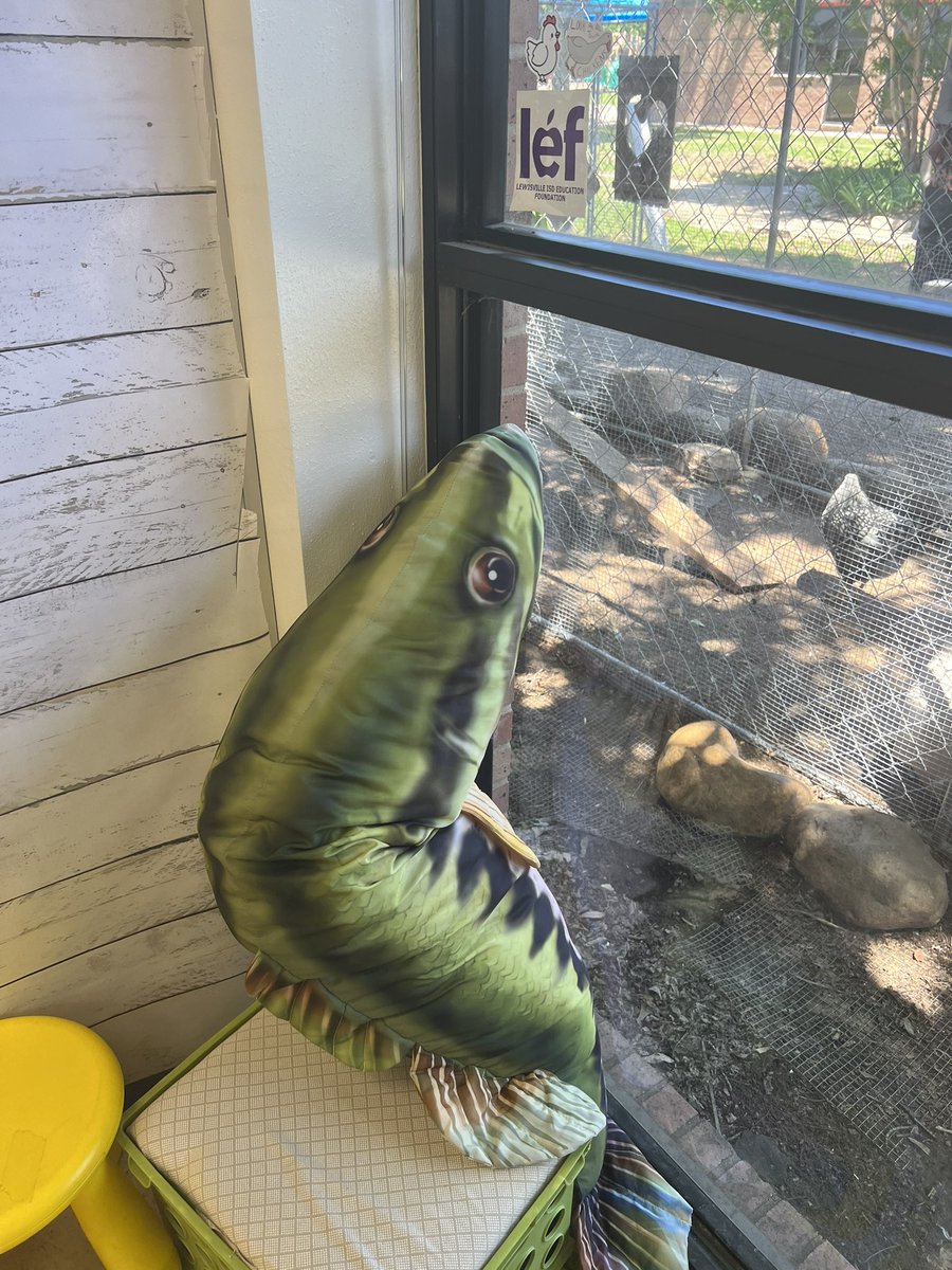 dill05's tweet photo. Where is Skipper?#ethfishmissing https://t.co/o6FWDxztyN