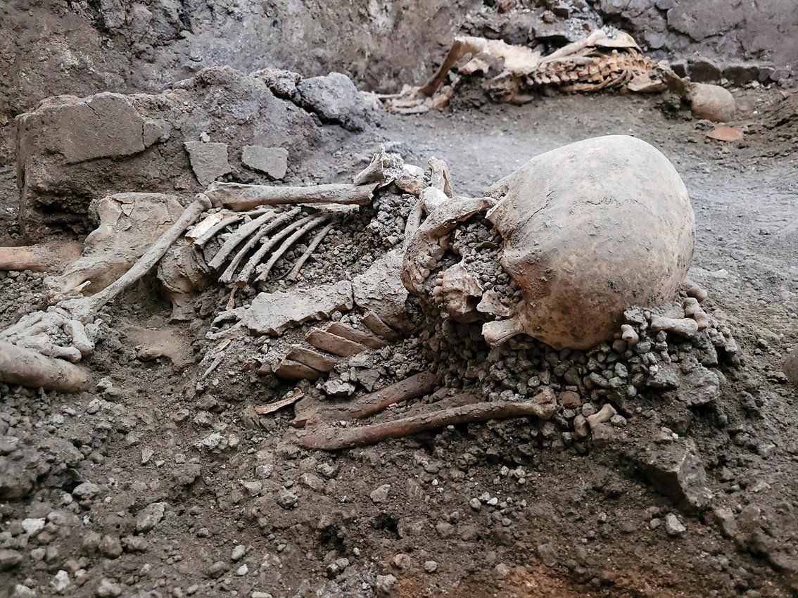 TurismoItaliaNw's tweet photo. ARCHEOLOGIA | Pompei, due scheletri rinvenuti sotto un crollo di muro: nuove vittime emergono dallo scavo dei Casti Amanti.
Leggi la notizia https://t.co/Fh7GzWF9iV
#archeologia #pompei #scheletri #castiamanti #ritrovamento #Turismo @pompeii_sites https://t.co/RkvmeTn5dw
