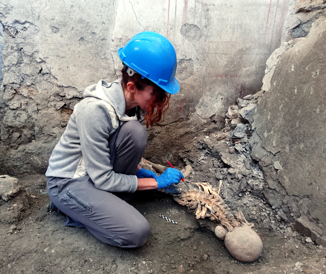 TurismoItaliaNw's tweet photo. ARCHEOLOGIA | Pompei, due scheletri rinvenuti sotto un crollo di muro: nuove vittime emergono dallo scavo dei Casti Amanti.
Leggi la notizia https://t.co/Fh7GzWF9iV
#archeologia #pompei #scheletri #castiamanti #ritrovamento #Turismo @pompeii_sites https://t.co/RkvmeTn5dw