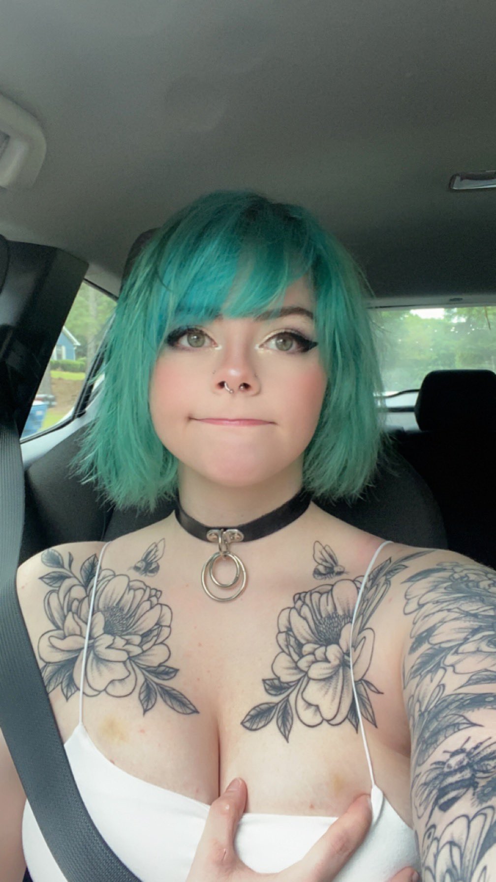 cat on X: My cat decided to use my boobs as a biscuit making factory and  now Im bruised 🥲 t.copSNn17bi5y  X