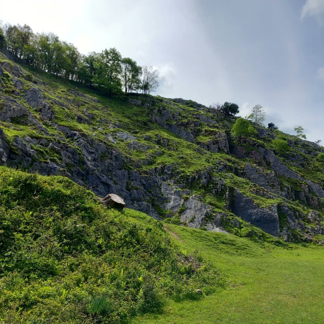lazyperfection's tweet photo. Burrington Combe #gorge #limestone #somerset #rocks #burringtoncombe #cliffs #visitsomerset #mendips #mendiphills #aonb #localtourists @VisitSomerset https://t.co/TIwLe3kE4k