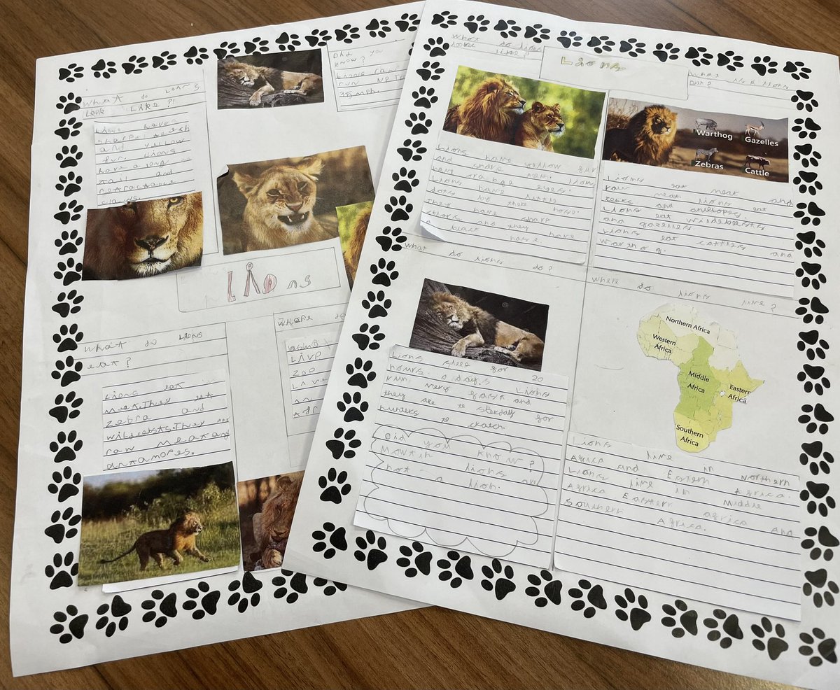 sara_sararadley's tweet photo. Our @RockFerrySch Year 1 pupils have produced some fabulous writing using the brilliant text The lion inside as a stimulus. @TheLCUK this is a great Pathways to Write unit thank you! https://t.co/zzxx9P3CXq