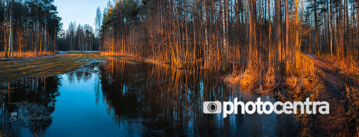 photocentra's tweet photo. https://t.co/1FGNztEX7q Light of a new day - Fyodor Lashkov #region #dawn #spring #tree #forest #park #walk #pine #light #photographer https://t.co/R5YyMhPKfP