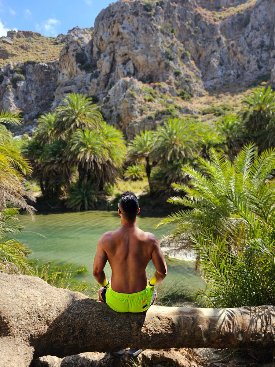Enjoying the simple pleasures of life at the Palm Beach. Sun, sand, and a good book. What more could you ask for?  🌴🌞📚