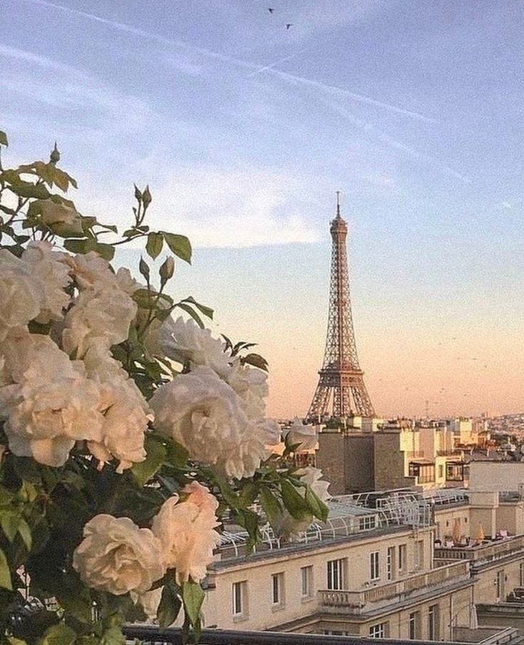 MochiAu98's tweet photo. Hyunlix au// "La ville de l'amour"

Hynjin y Flix se conocen en un vuelo a Paris, al charlar descubren que se están hospedando en el mismo hotel. 

Que pasara cuando se enteren que hay un error en la reservación de ambos y tengan que compartir habitación. https://t.co/AaPEECh9mu