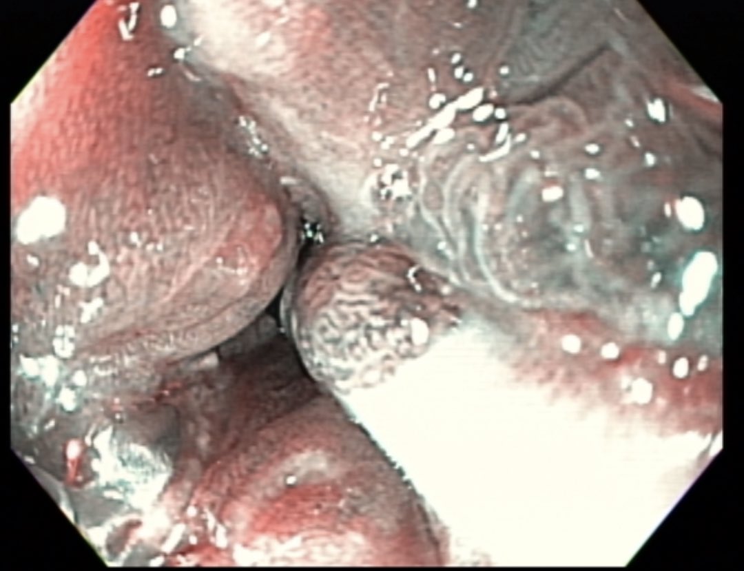 A. Samad Soudagar tweet media