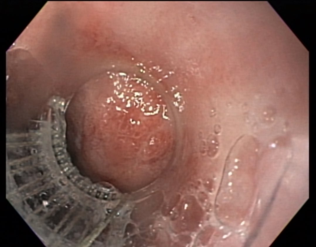 A. Samad Soudagar tweet media