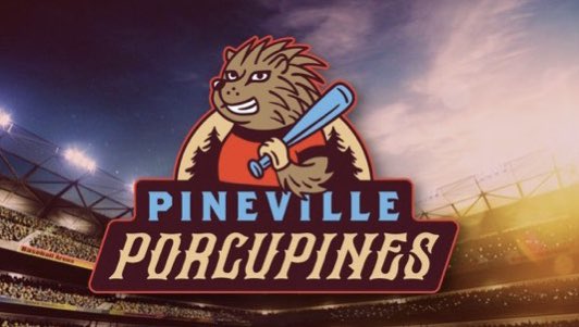 cquez10's tweet image. Looking to fill out our coaching staff for the Pineville Porcupines summer collegiate team in the Old North State League (NC). DM if interested. Pitching experience a plus. @PorcupinesONSL